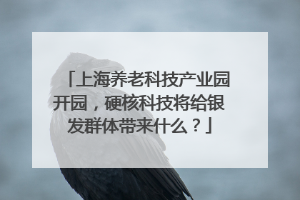 上海养老科技产业园开园，硬核科技将给银发群体带来什么？