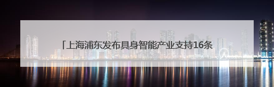 上海浦东发布具身智能产业支持16条政策：单个项目支持额度最高可达亿级