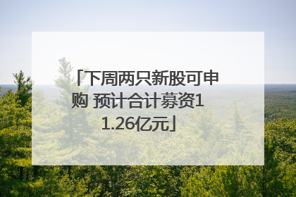 下周两只新股可申购 预计合计募资11.26亿元
