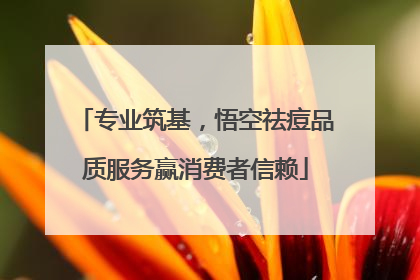 专业筑基，悟空祛痘品质服务赢消费者信赖