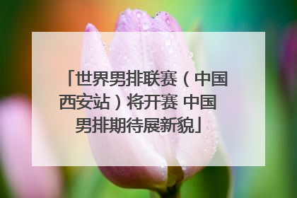 世界男排联赛（中国西安站）将开赛 中国男排期待展新貌
