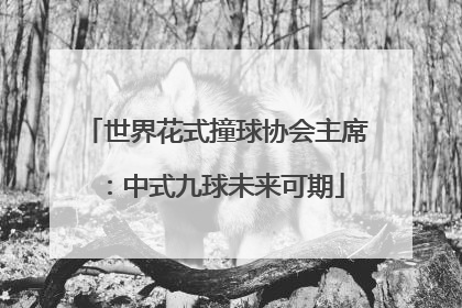 世界花式撞球协会主席：中式九球未来可期