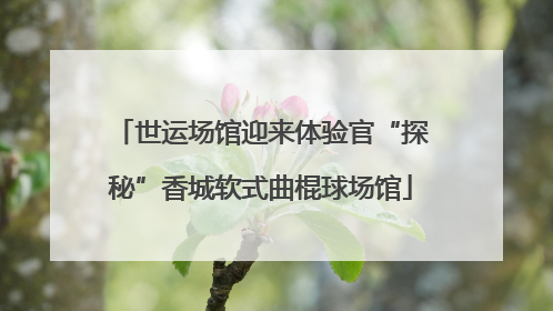 世运场馆迎来体验官“探秘”香城软式曲棍球场馆