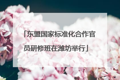 东盟国家标准化合作官员研修班在潍坊举行
