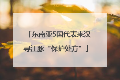 东南亚5国代表来汉寻江豚“保护处方”