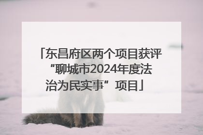 东昌府区两个项目获评“聊城市2024年度法治为民实事”项目