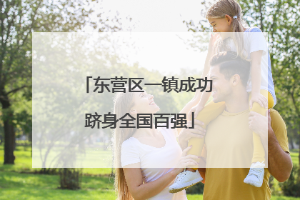 东营区一镇成功跻身全国百强