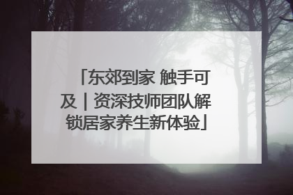 东郊到家 触手可及｜资深技师团队解锁居家养生新体验