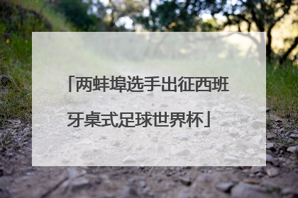 两蚌埠选手出征西班牙桌式足球世界杯
