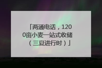 两通电话，1200亩小麦一站式收储（三夏进行时）