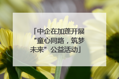 中企在加蓬开展“童心同路，筑梦未来”公益活动