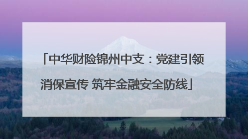 中华财险锦州中支：党建引领消保宣传 筑牢金融安全防线