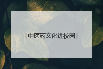 中医药文化进校园