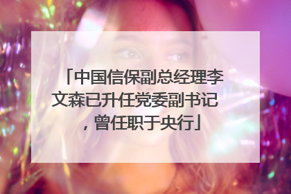 中国信保副总经理李文森已升任党委副书记，曾任职于央行