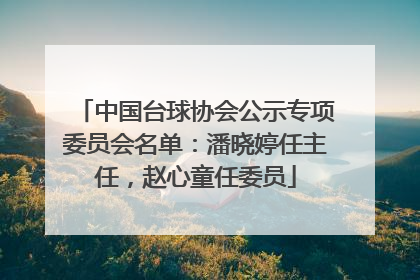 中国台球协会公示专项委员会名单：潘晓婷任主任，赵心童任委员