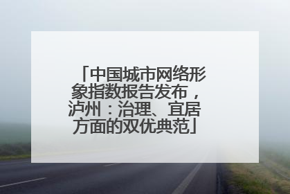 中国城市网络形象指数报告发布，泸州：治理、宜居方面的双优典范