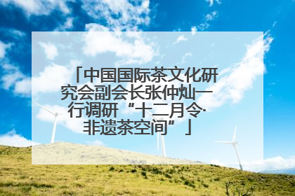 中国国际茶文化研究会副会长张仲灿一行调研“十二月令·非遗茶空间”