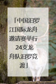 中国汨罗江国际龙舟邀请赛举行 24支龙舟队汨罗竞渡
