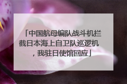 中国航母编队战斗机拦截日本海上自卫队巡逻机，我驻日使馆回应