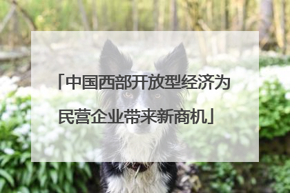 中国西部开放型经济为民营企业带来新商机