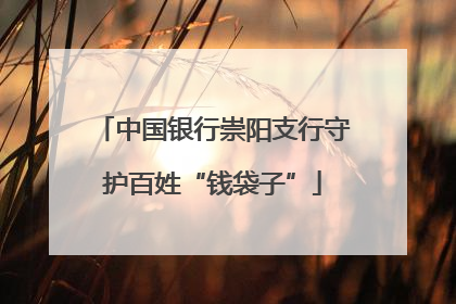 中国银行崇阳支行守护百姓“钱袋子”