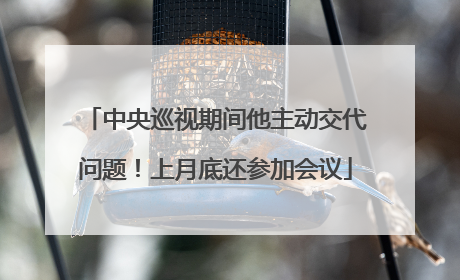 中央巡视期间他主动交代问题！上月底还参加会议
