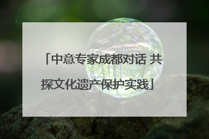 中意专家成都对话 共探文化遗产保护实践