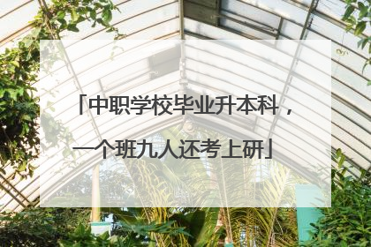 中职学校毕业升本科，一个班九人还考上研