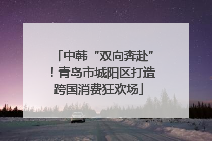 中韩“双向奔赴”！青岛市城阳区打造跨国消费狂欢场