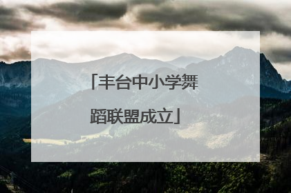 丰台中小学舞蹈联盟成立