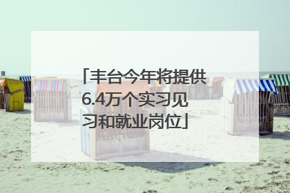 丰台今年将提供6.4万个实习见习和就业岗位