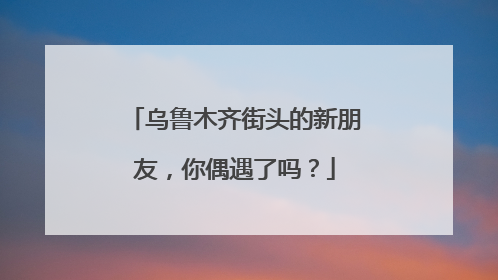 乌鲁木齐街头的新朋友，你偶遇了吗？