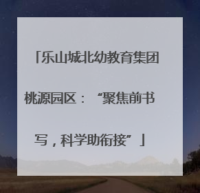 乐山城北幼教育集团桃源园区：“聚焦前书写，科学助衔接”