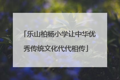 乐山柏杨小学让中华优秀传统文化代代相传