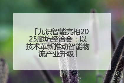 九识智能亮相2025廊坊经洽会：以技术革新推动智能物流产业升级