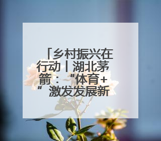 乡村振兴在行动丨湖北茅箭：“体育+”激发发展新动能