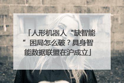 人形机器人“缺智能”困局怎么破？具身智能数据联盟在沪成立