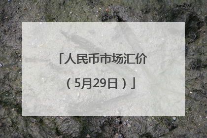 人民币市场汇价（5月29日）