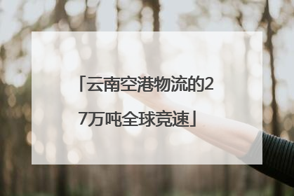 云南空港物流的27万吨全球竞速