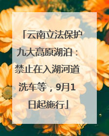 云南立法保护九大高原湖泊：禁止在入湖河道洗车等，9月1日起施行