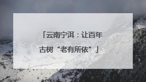 云南宁洱：让百年古树“老有所依”