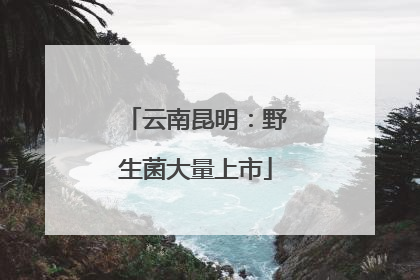 云南昆明：野生菌大量上市