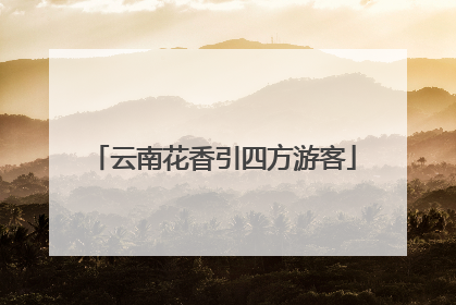 云南花香引四方游客