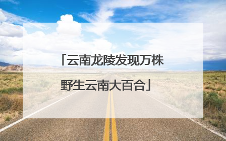 云南龙陵发现万株野生云南大百合