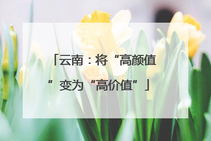 云南：将“高颜值”变为“高价值”