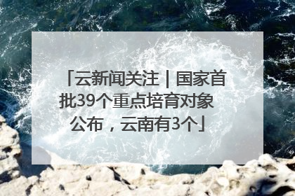 云新闻关注｜国家首批39个重点培育对象公布，云南有3个