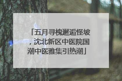 五月寻槐邂逅怪坡，沈北新区中医院国潮中医雅集引热潮