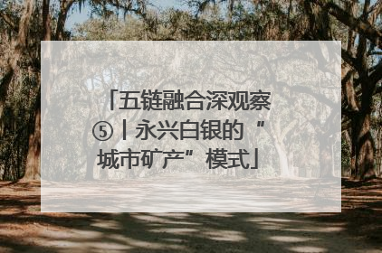 五链融合深观察⑤丨永兴白银的“城市矿产”模式