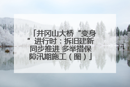 井冈山大桥“变身”进行时：拆旧建新同步推进 多举措保障汛期施工（图）
