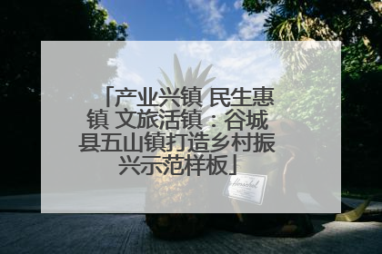 产业兴镇 民生惠镇 文旅活镇：谷城县五山镇打造乡村振兴示范样板